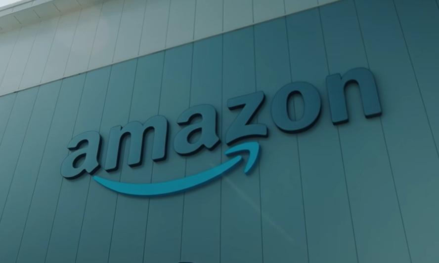 Amazon's $30M Carbon Credit Deal with Indian Rice Farmers
