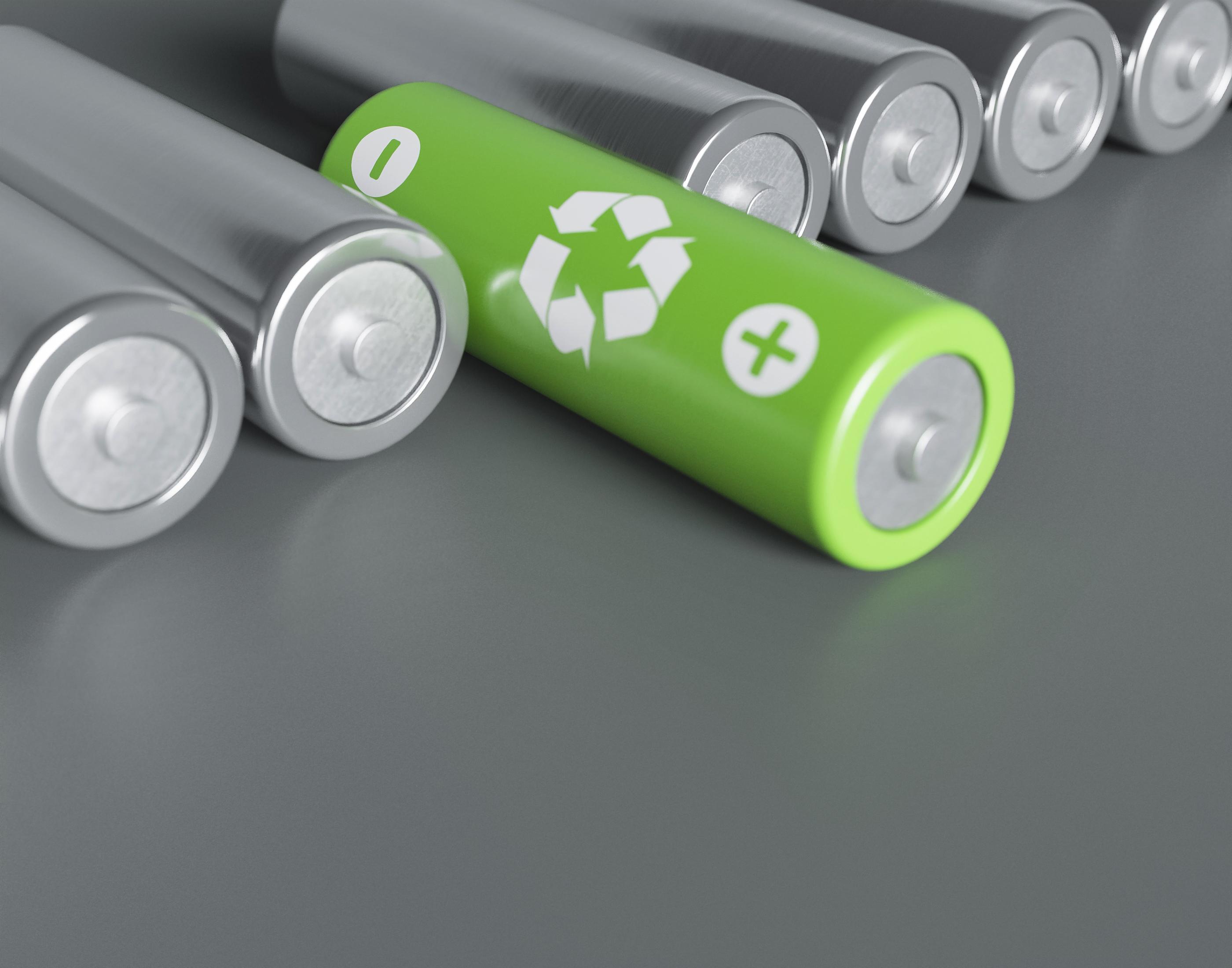 Nexus Power Baliarsingh Twins Bio-Organic Batteries